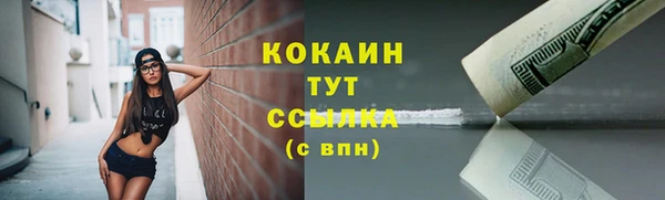 спайс Баксан