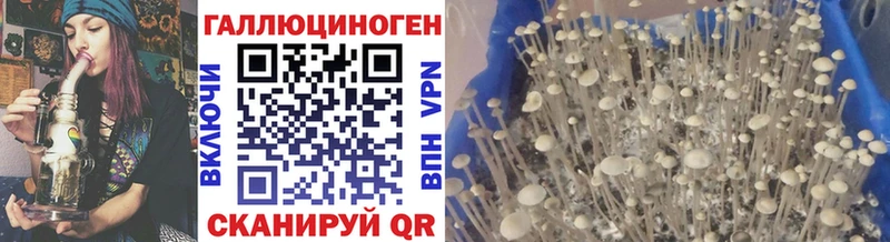 Псилоцибиновые грибы Psilocybe  Купить закладки  Макушино 