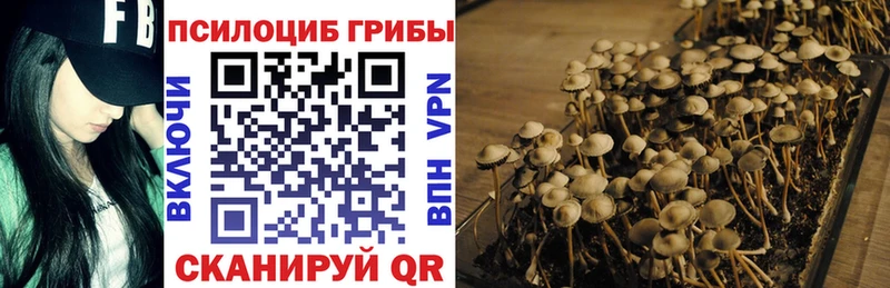 Галлюциногенные грибы Cubensis Макушино